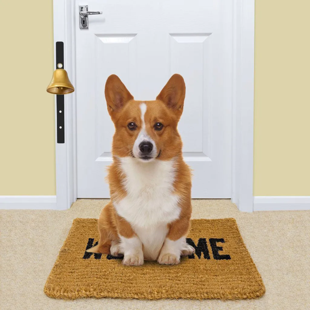 Transer Pet тренировочная Регулируемая миска для домашних животных защитная белая