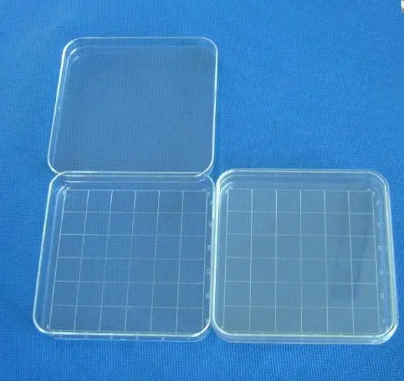 

10pcs clear 10*10cm square plastic petri dish with cover,culture dish, free shipping