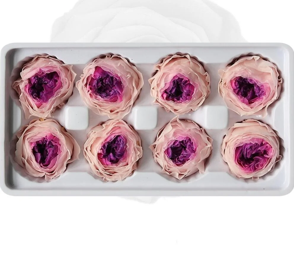 8pcs 4-5cm Preserved Flower Austin Rose Bud Head For Wedding Party Holiday Birthday Velentine's Day Gift Favor | Дом и сад