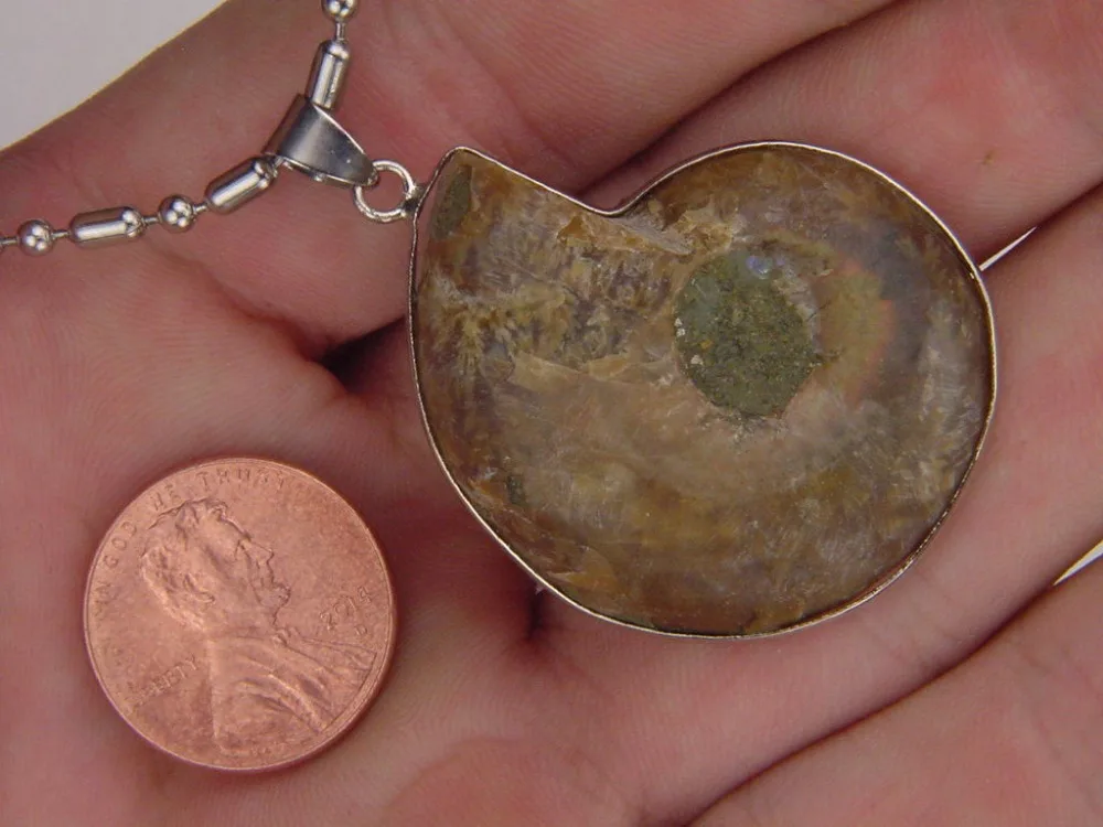 Подвеска из натурального аммонита 5 шт. 30-40 мм | Украшения и аксессуары