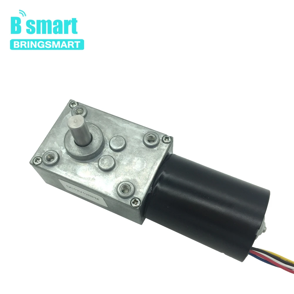 Бесщеточный червячный редуктор постоянного тока Bringsmart 5840 3650 реверсивный