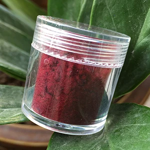 Wine red 14 24 цвета, 10 мл/бутылка, Декоративный Лак, стекло, для ногтей, искусство, сделай сам, советы, дизайн, бархат, стекающаяся пыль, порошок, маникюр, бархатная пудра - Цвет: Wine red 14