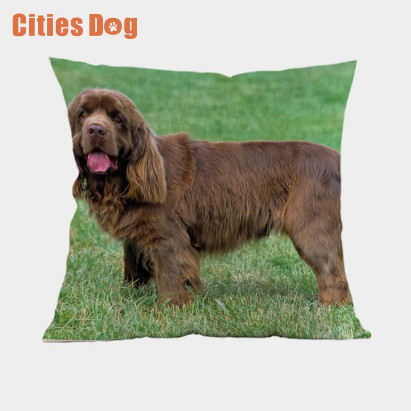 Sussex, спаниель, декоративная подушка, животные, подушки в виде собак, cojines 45x45, decoracion, собаки, узор, бросок, автомобильные подушки - Цвет: Q