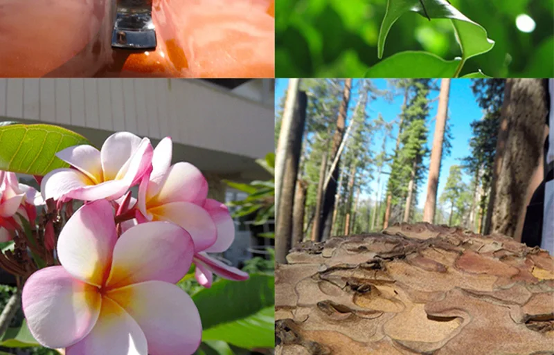 Для экшн-Камеры GoPro Hero 7 экшн Камера фильтр 24X макро объектива для дайвинга Красные кольцо-переходник для фильтра для экшн-камеры GoPro Hero 5/6/7, Водонепроницаемый Корпус