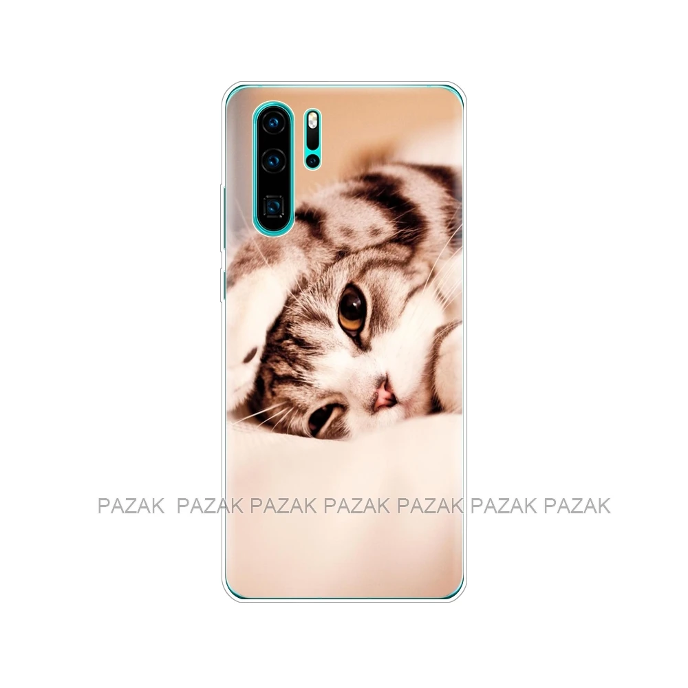 Чехол для huawei P30 Pro Чехол huawei P30Pro силиконовый чехол ТПУ задняя крышка для телефона на huawei P30 Pro VOG-L29 ELE-L29 P 30 Lite чехол - Цвет: 10605