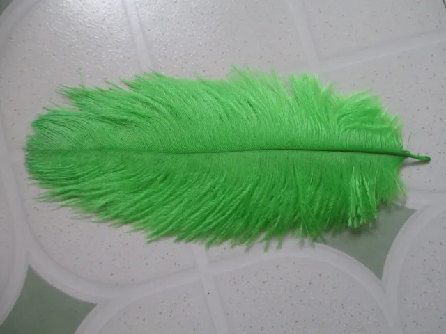 Wholesale free shipping high quality 100pcs natural green ostrich feather 8-10 inch /20-25 cm Variety of decorative | Дом и сад