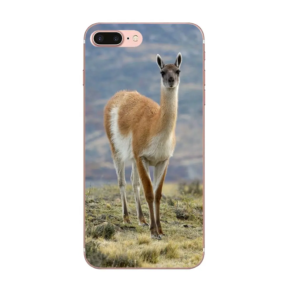 В продаже чехол для телефона Swag милый Llama Alpacas узоры Apple iPhone 4 4S 5 5C 5S SE 6 6S 7 8 Plus X XS Max XR