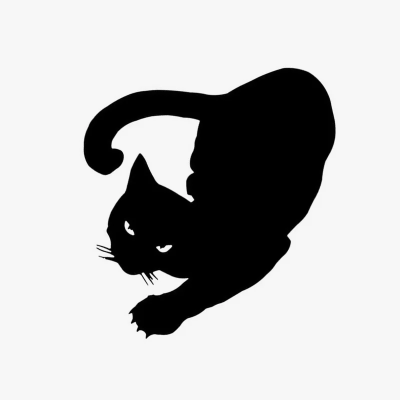 12*16CM PET CAT Car Stickers Decals Motorcycle Accessories Styling Black/Silver GS3160 | Автомобили и мотоциклы