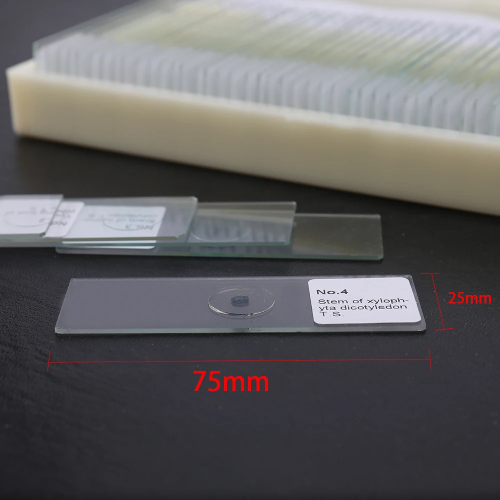 50PCS/Set Coverslips Glass Microscope Parts Fresh Animal Plants Insects Tissues Specimens Sample Slides Cover Slips | Инструменты