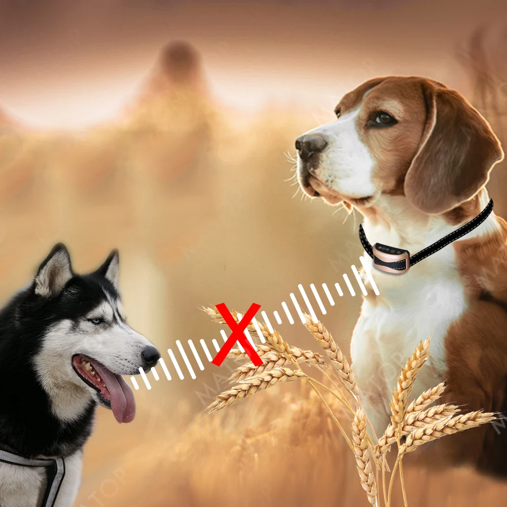 Ультразвуковой ошейник для собак антилай вибрирующий нейлоновый