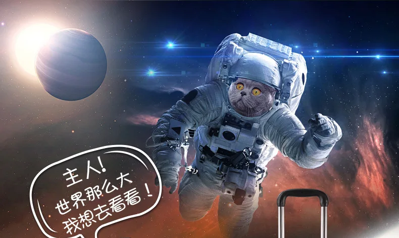 25% портативный мультяшный любимец Тележка коробка для маленькой собаки кошки четырехколесная воздухопроницаемая переноска для питомцев С пузырьковым окном 6,5 кг Максимальный подшипник