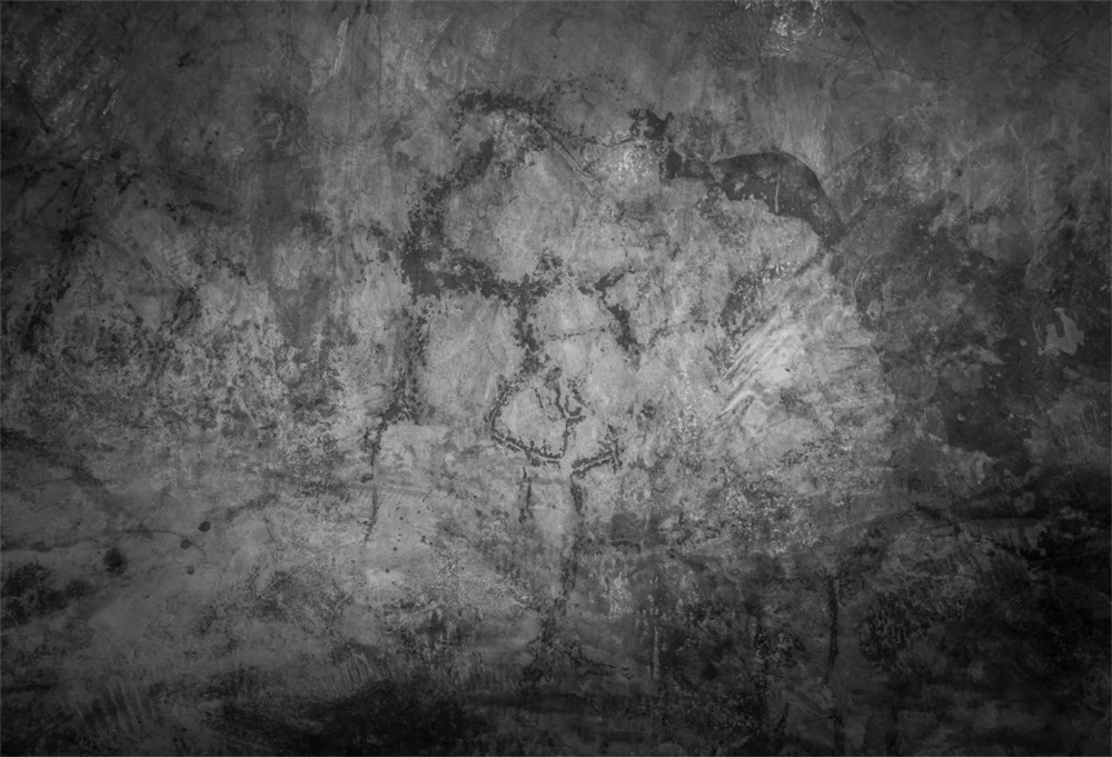 Laeacco гранж темная облачная стена портрет фотография ребенок фон Живописный винил