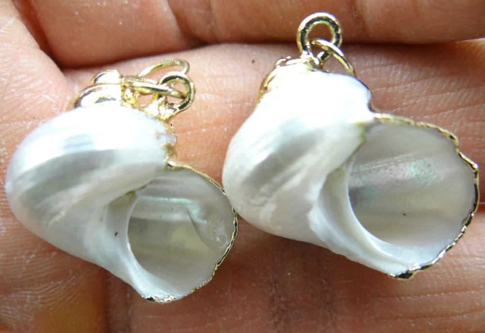 6 шт. подвески в виде ракушек морских | Украшения и аксессуары