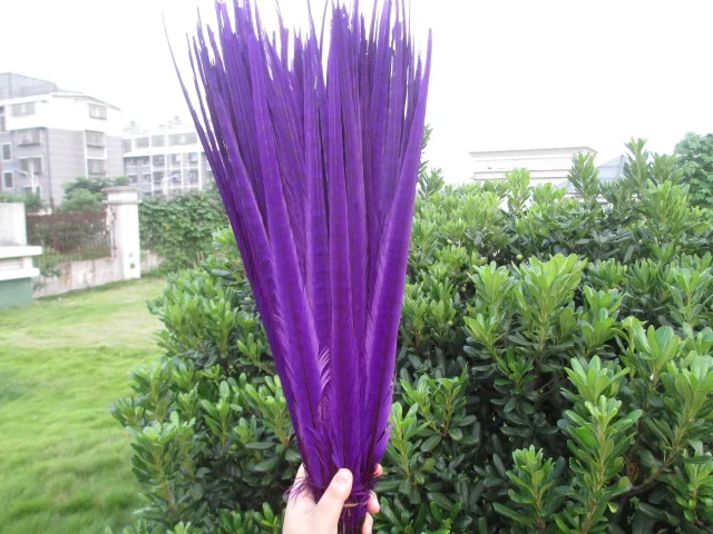 purple 50/партия Красивых Перьев Фазана 55-60 см различные цвета на выбор танцевальное торжество DIY Украшение - Цвет: purple