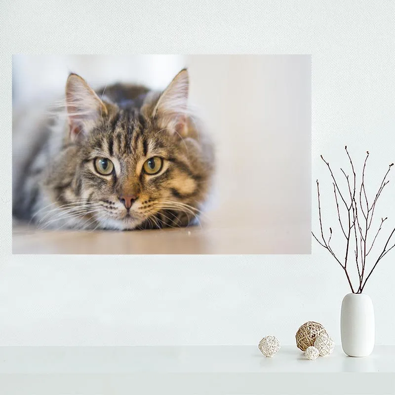 Hot Sale Custom cat canvas poster Home Decoration Wall Art High Quality cloth Silk Fabric wall print | Дом и сад
