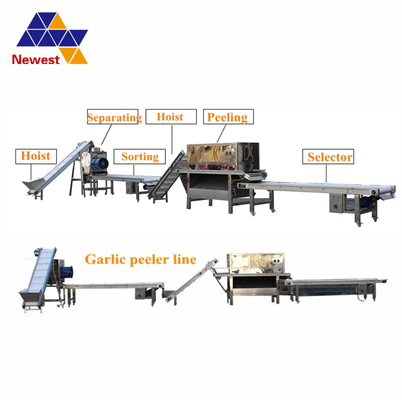 Индийская коммерческая машина для очистки чеснока 2000 кг/ч производственная
