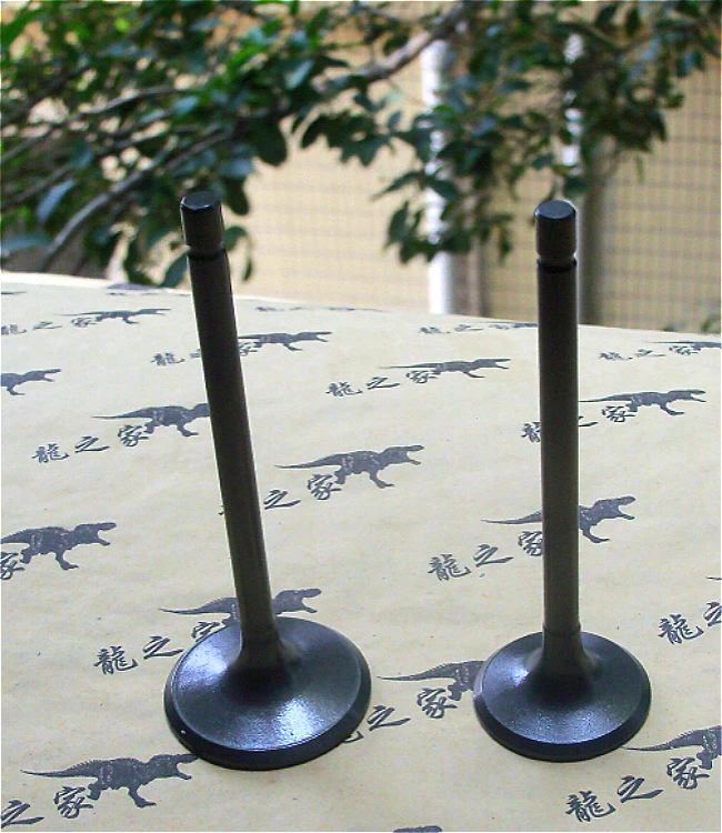 

Motorcycle Engine Valve Intake Exhaust Stem Valve For Zongshen CB200 HX250 CG250 200cc 250cc Dirt Bike Off Road