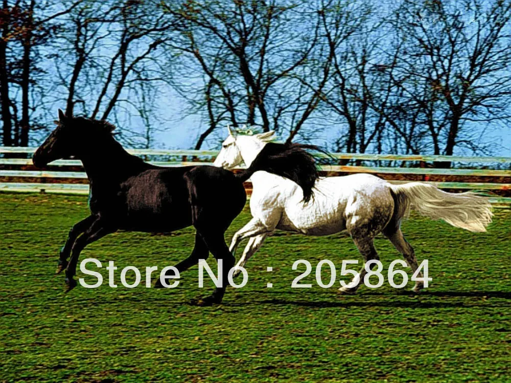 Бесплатная доставка хит продаж маленькие размеры тканевые изображения новые