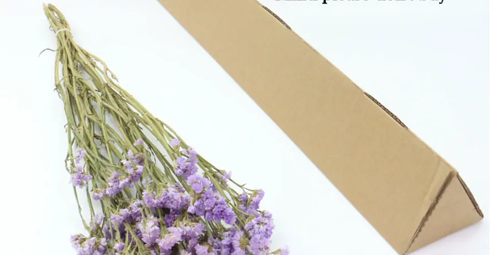 55 см натуральный воздушный сушеный Forget-me-not букет из сушеных цветов Рождественские Свадебные украшения цветы семейные вечерние композиции цветов