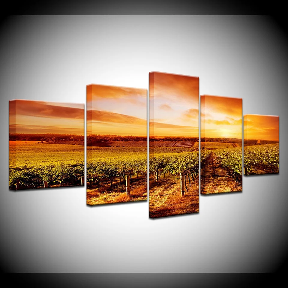 

Sunset Hills Vineyards landscape 5 Panels HD Print Wall Art modern Modular Poster art Canvas painting for Living Room Home Decor