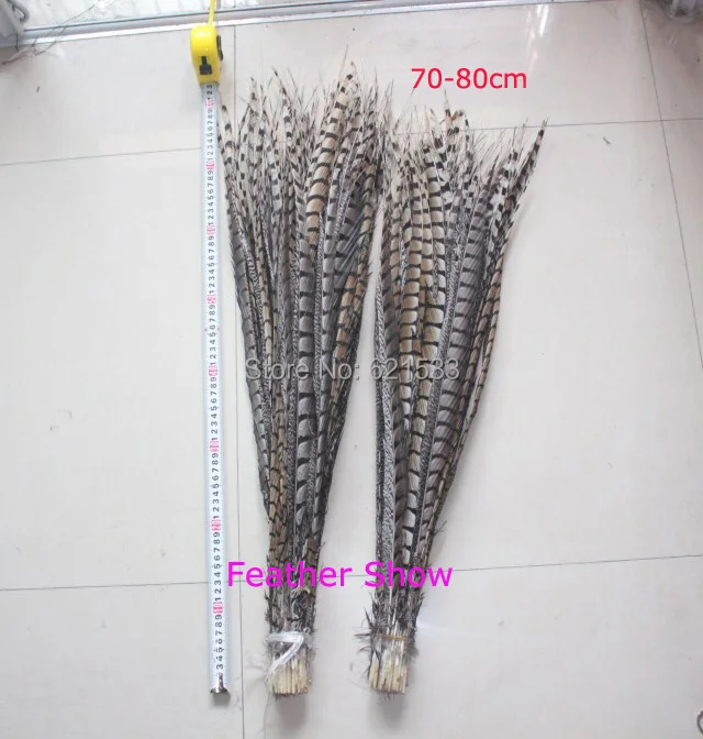 

30pcs/lot Perfect lady amherst Pheasant Tail Feathers for Costumes decor,nature colour,28-32inches 70-80cm long
