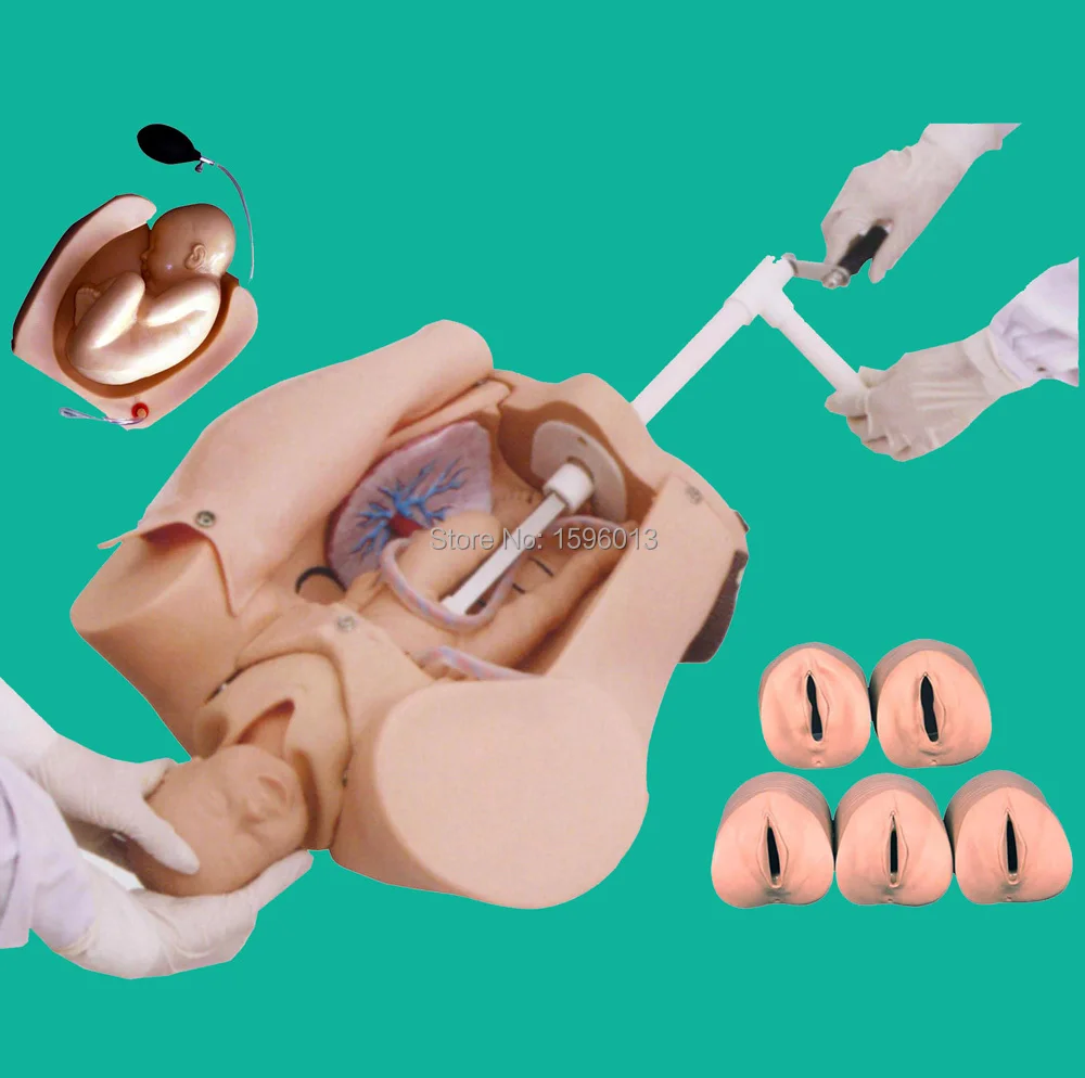 Улучшенный интегрированный имитатор для брюшной пальпации и родов