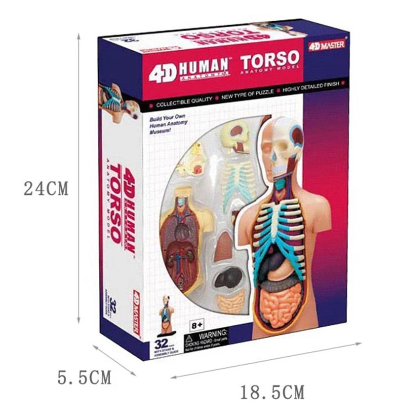 Мастер головоломка Viscera 4d игрушка для сборки человеческого тела модель