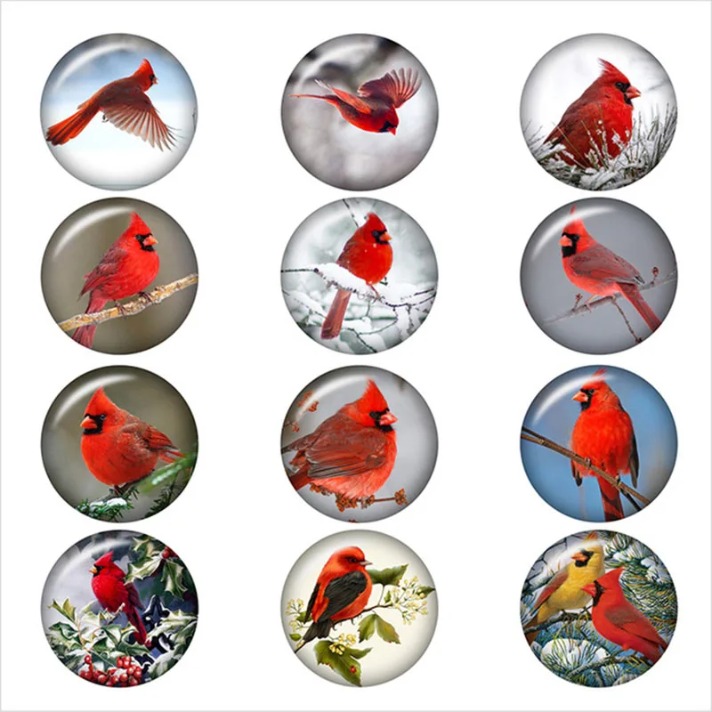 20 шт смешанные Cardinal Рождество птица шаблон оснастки кнопка круглая фотография