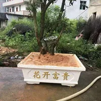 All Chinese 60 см/23,62 дюйма гибкие китайские персонажи Простой пластиковый домашний садоводческий бонсай DIY бетонный квадратный цветочный горшок для растений - Цвет: All Chinese