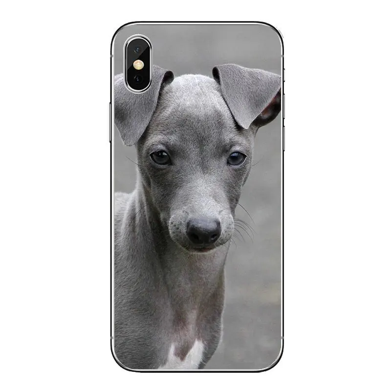 Для iPod Touch iPhone 4 4S 5 5S 5C SE 6 S 7 8 X XR XS Plus MAX galgo greyhound puppy Dog Pets прозрачный мягкий чехол