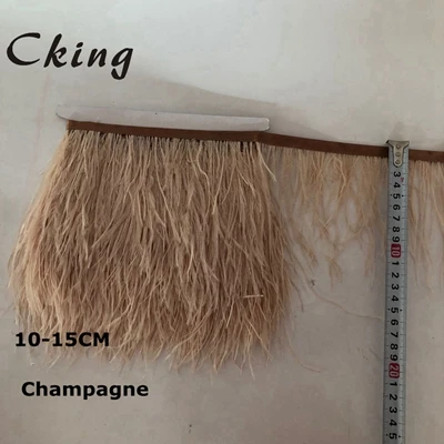 champagne 10 метров темно-зеленое перо отделка 10-15 см ширина страуса перо платье с бахромой швейный Материал карнавал рождественские украшения Ремесло - Цвет: champagne