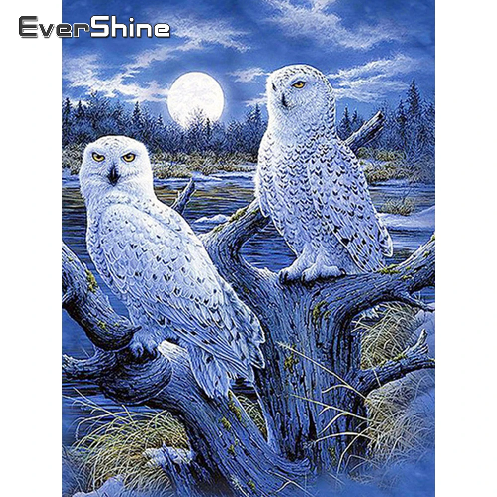 EverShine 5D алмазная вышивка распродажа Алмазная картина полная дрель квадратные
