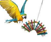 pet products bird supplies parrot gnawing toys diy claw paw dumbbell color wood rope grinding swing station ladder string toy