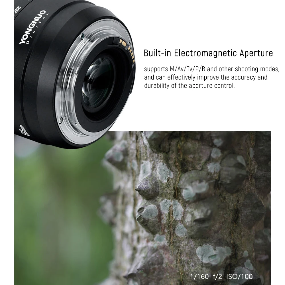YONGNUO объектив YN60mm F2 MF 0,234 m макро объектив с ручной фокусировкой для Canon EOS 70D 5D2 5D3 600D DSLR Объектив камеры Новинка
