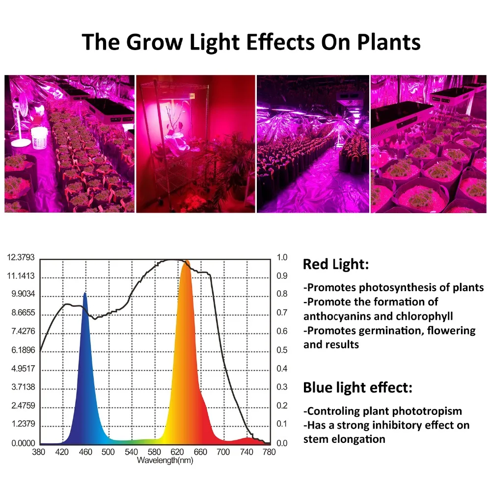 Phlizon 2000 W led Профессиональное Освещение растет ламп для комнатных растений Сад Цветок Гидропоника расти палатки Box