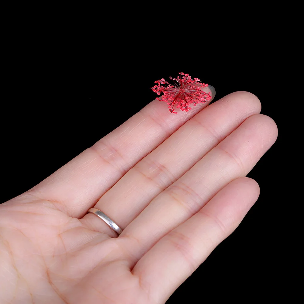 Наклейки для дизайна ногтей 12 цветов наклейки чехол маленькие цветы модные