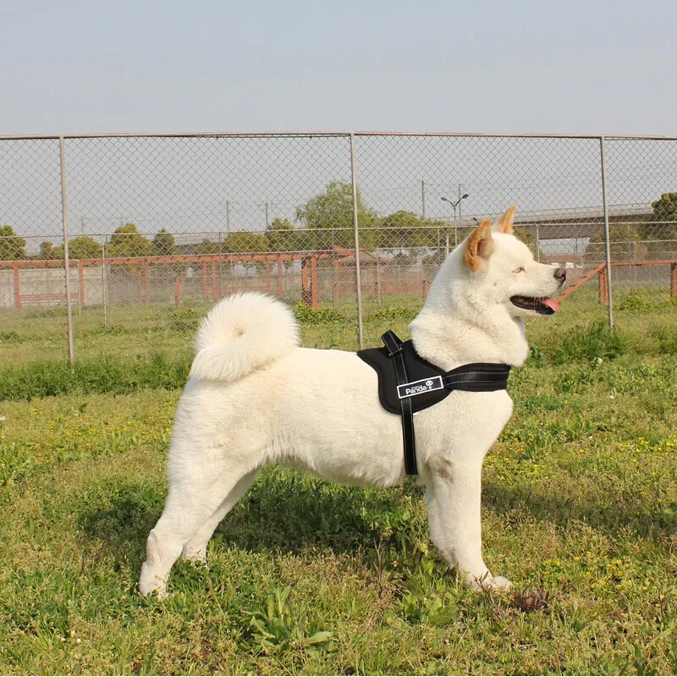 Ortilerri Pet Supplies Chest Strap Cotton Red Dog Harness Black Arnes Perro Golden Panda 5 Sizes Correas Para Perros 2016 | Дом и сад