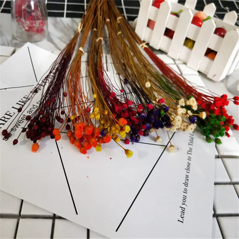 7 цветов букет счастливый цветок сухие цветы вечный декор дом фото реквизит | Дом