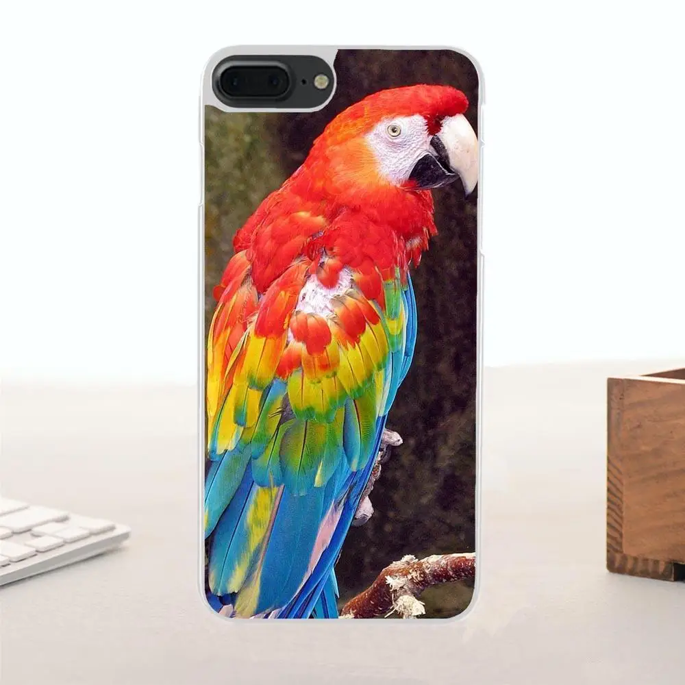 Rainbow Parrot For Huawei G7 G8 Honor 5A 5C 5X 6 6X 7 8 V8 Mate 9 P7 P8 P9 P10 Lite Plus Portugal Fashion Design Cell Case | Мобильные