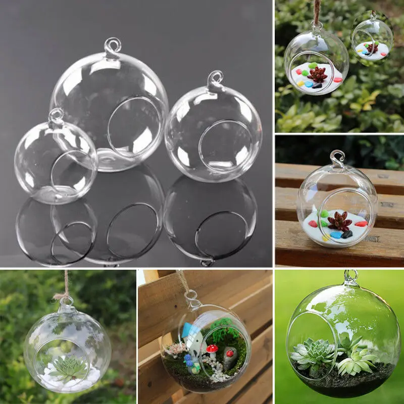 Прозрачная подвесная стеклянная ваза в форме шара контейнер для цветочных