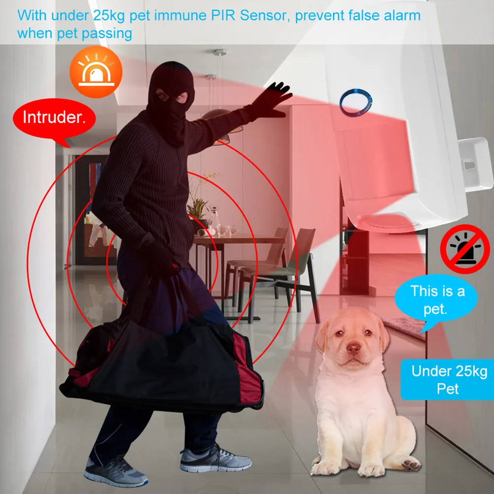 Горячая беспроводная Wi-Fi взлома сигнализация системы анти-ПЭТ помех детектор для