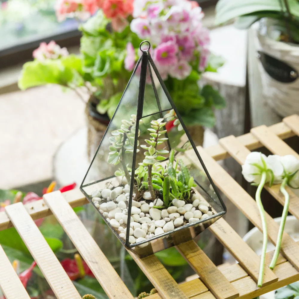 Современная пирамида стеклянный геометрический Террариум суккулентный