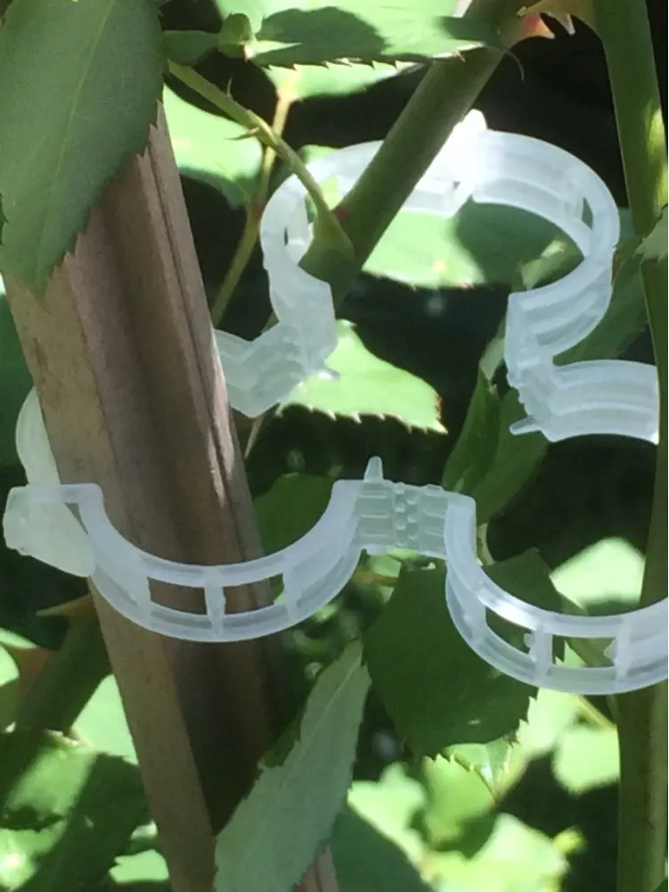 

50/100/200pcs Garden Plant Support Clips for Trellis Twine Greenhouse Plant Tomato Hanging Vine Vegetables Fruit Fixing Clip