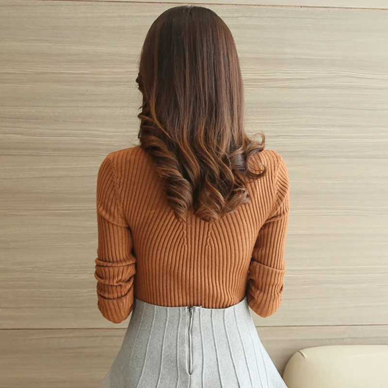 Turtleneck Sweater Women Fashion 2021 Autumn Winter Black Tops Knitted Pullovers Long Sleeve Jumper Pull Femme Clothing | Женская одежда