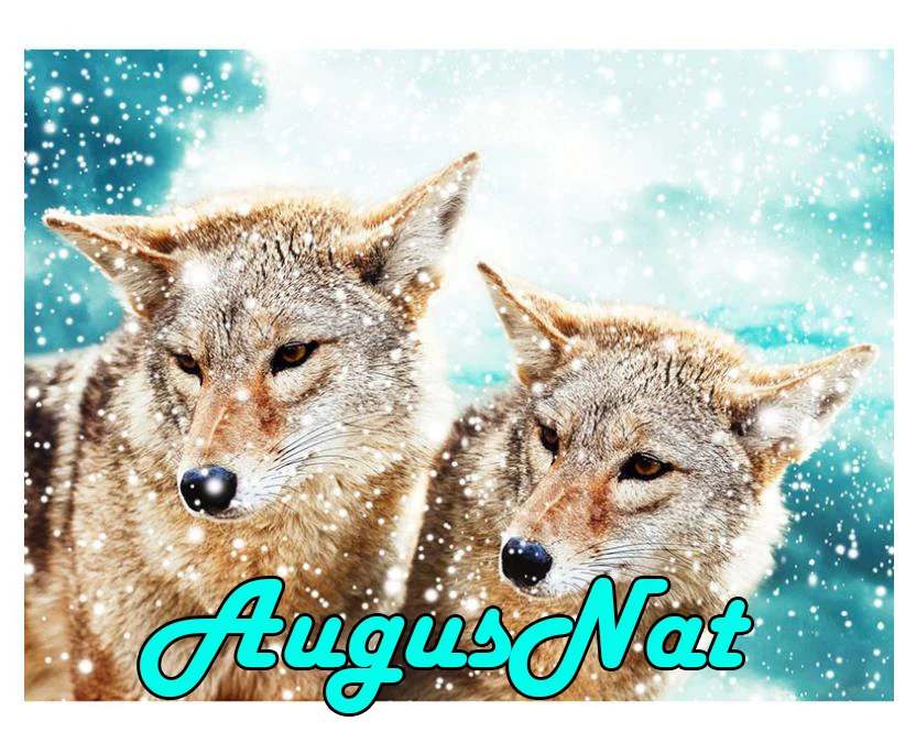 Животные Алмазная картина крестиком волки daimont вышивка головоломка картины