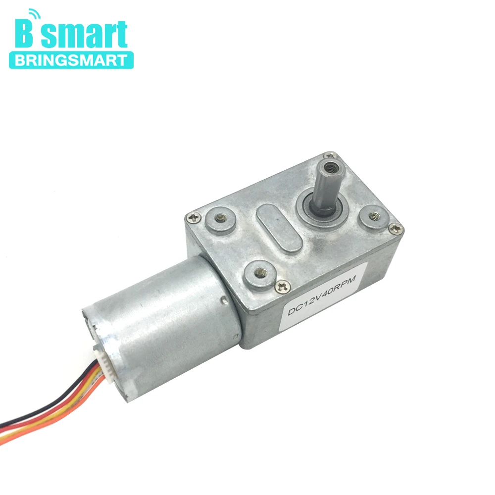 Bringsmart JGY-2430 24 В DC червячный мотор-редуктор 12 В DIY часть самоблокирующийся Реверсивный измерение скорости бесщеточный двигатель постоянного тока для низкого шума