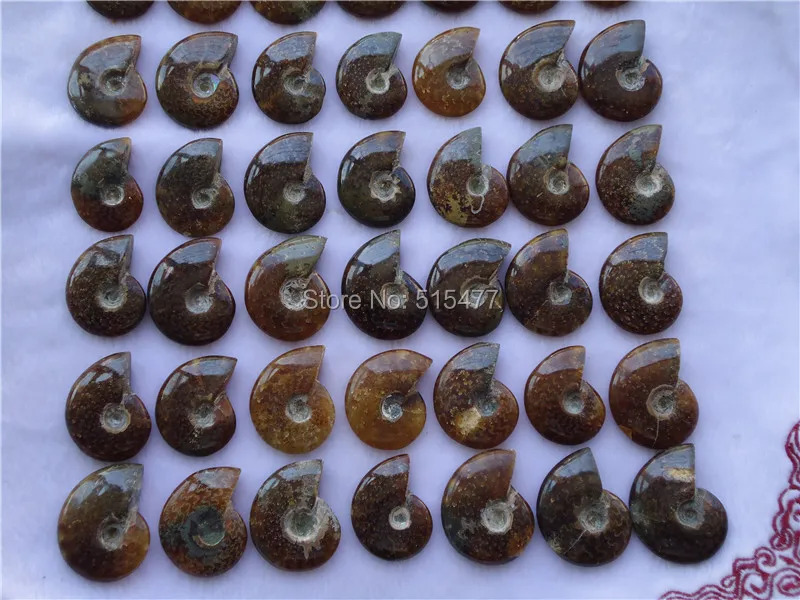 63 New Find натуральный меловидный аммонит FOSSIL образец 950 г | Дом и сад