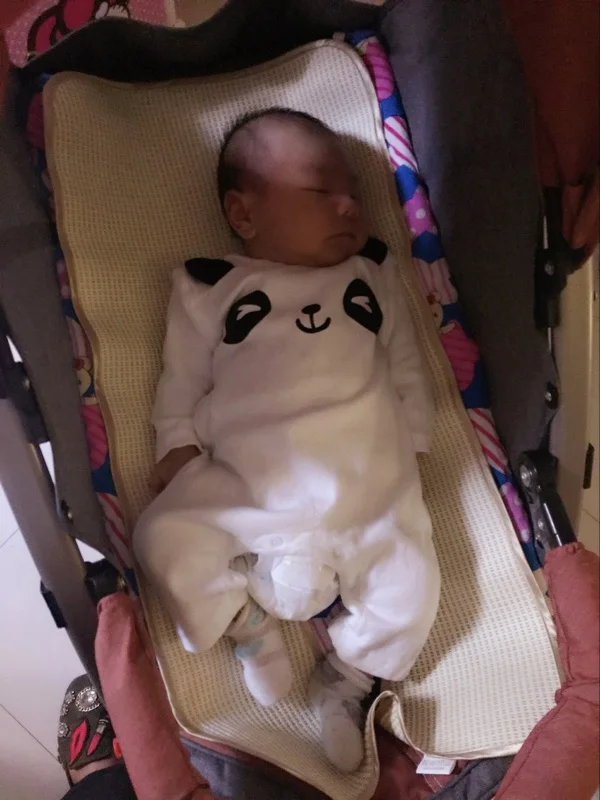 Детские панды восхождение одежда |