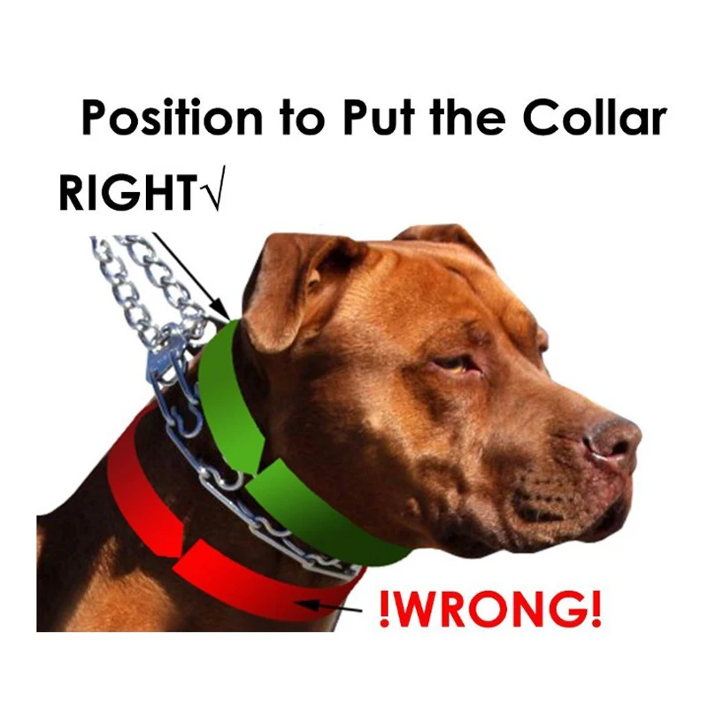 Тренировочный ошейник для собак с металлическим зажимом быстросъемной защелкой