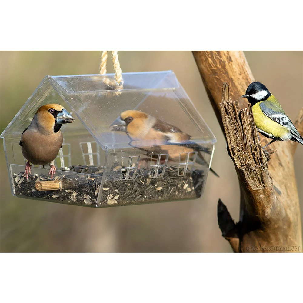 Кормушка для птичьего домика сада двора украшения дома современный прозрачный